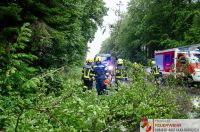 _2024-07-06 Baum über Straße B141 Pramwald-0017